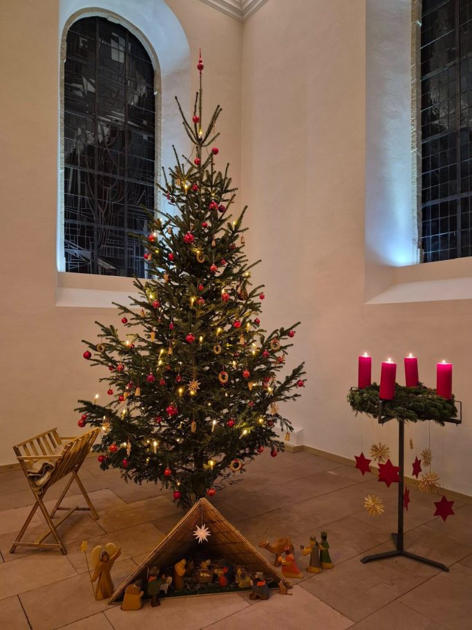 Weihnachtsbaum in Apostelkirche